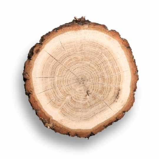 Rustic wooden pine