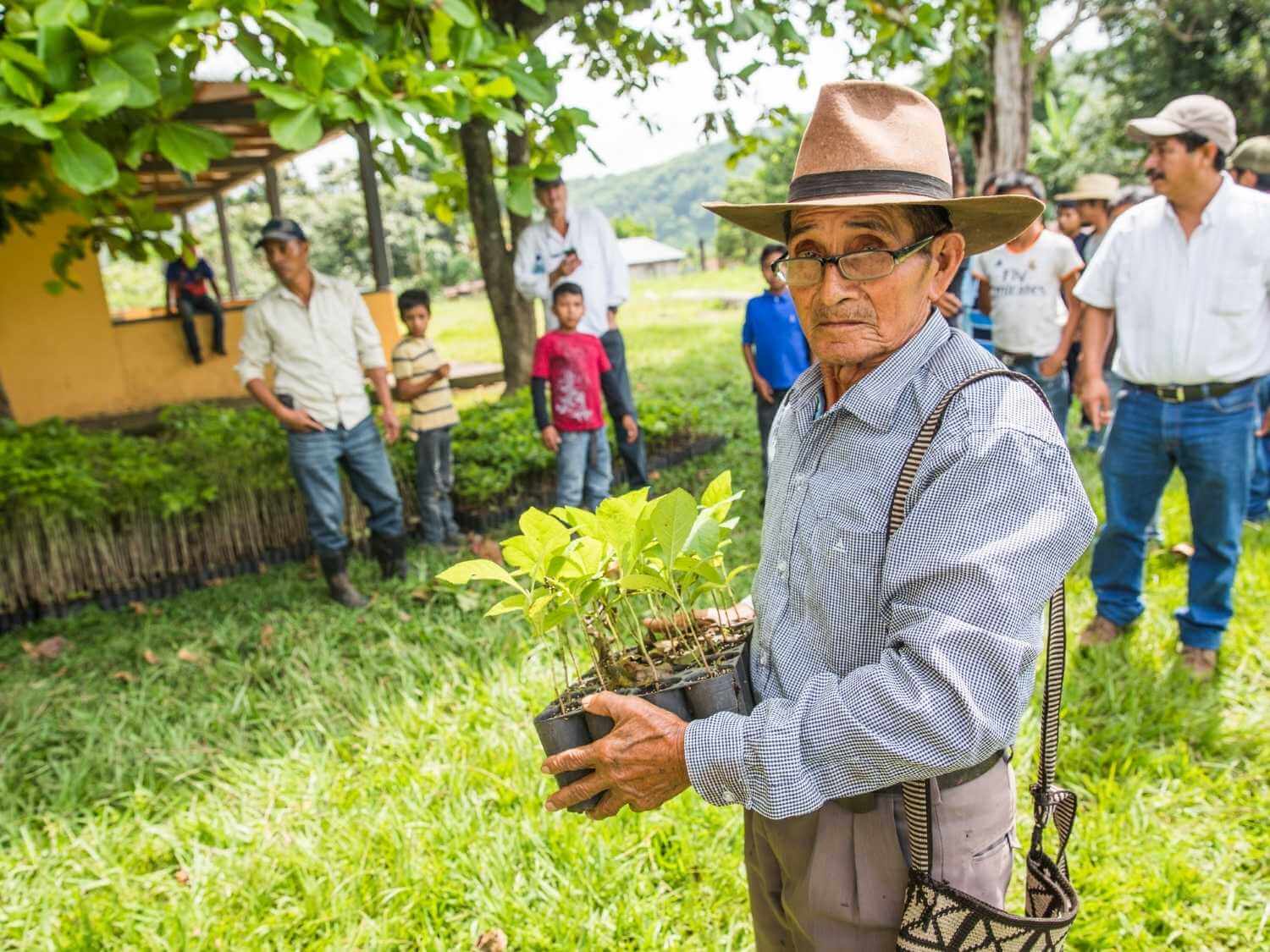 One Tree Planted - Peru planting trees in areas of deforestation 