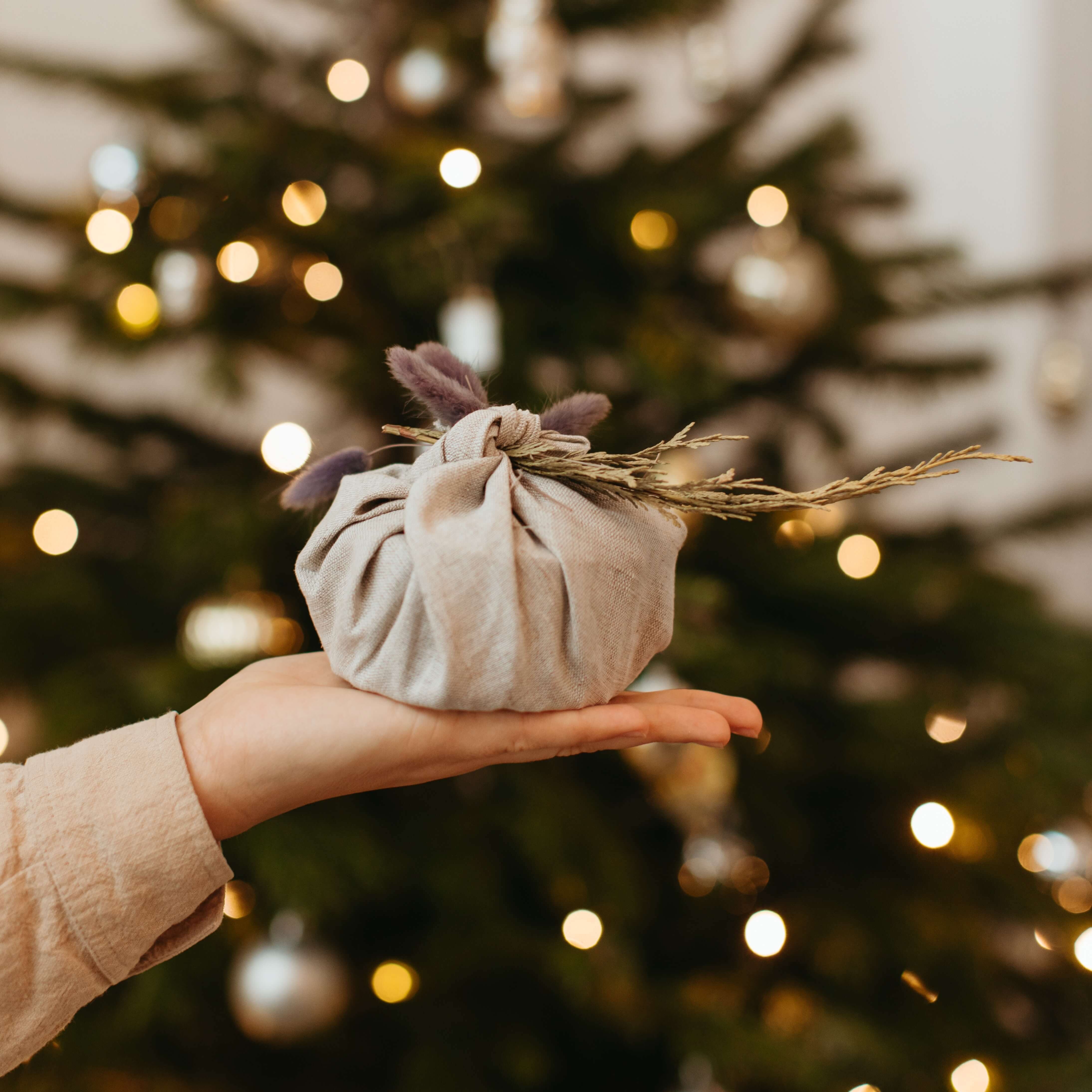 27 Sustainable Christmas Ideas