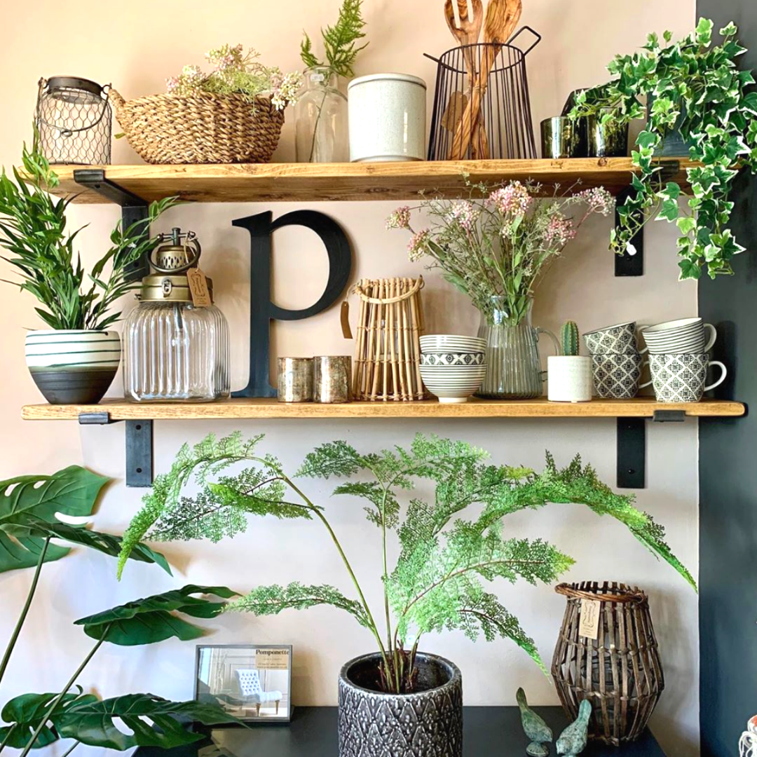 Styling your home with plants