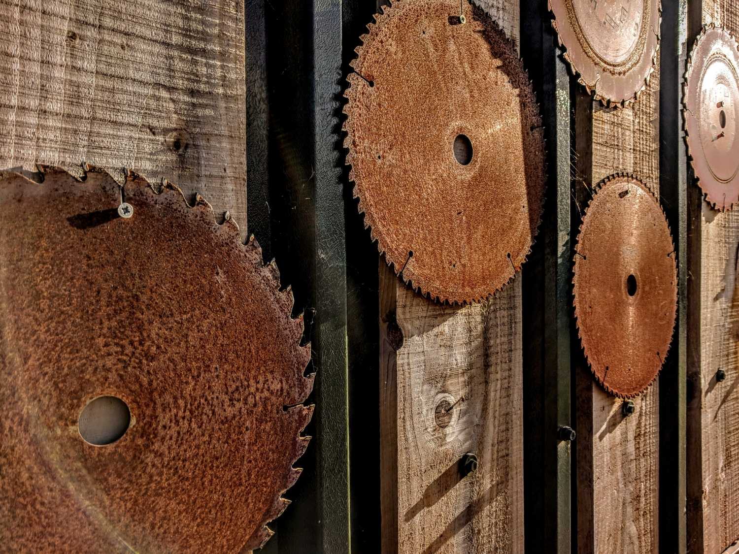 Rustic saw blades on wooden cladding