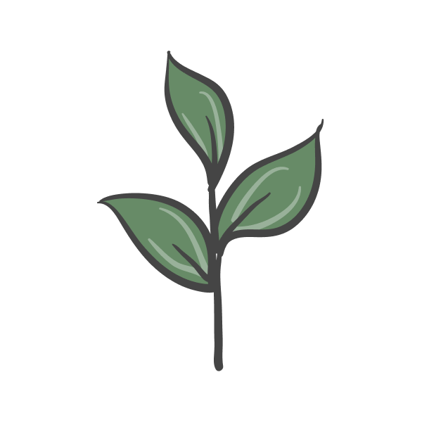 Our Planting Promise