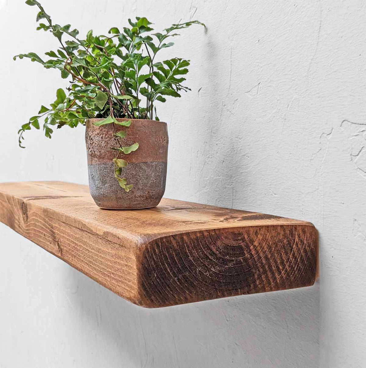 #colour_dark-oak