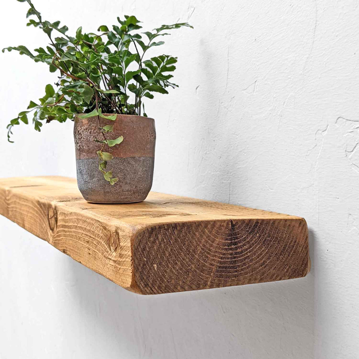 #colour_rustic-pine
