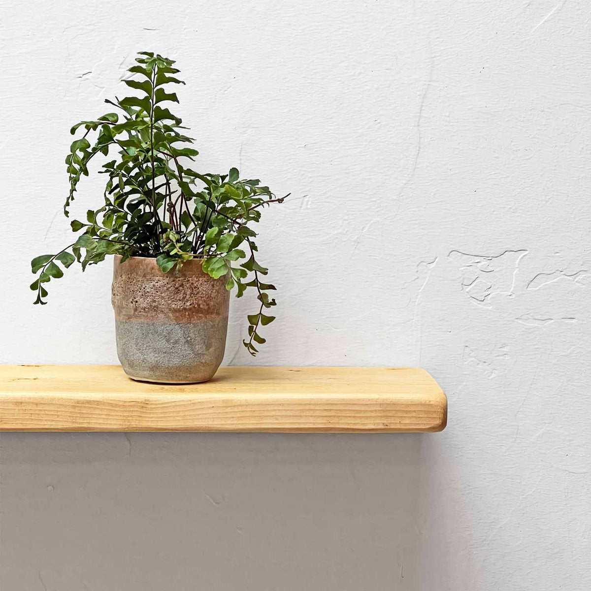 #colour_antique-pine