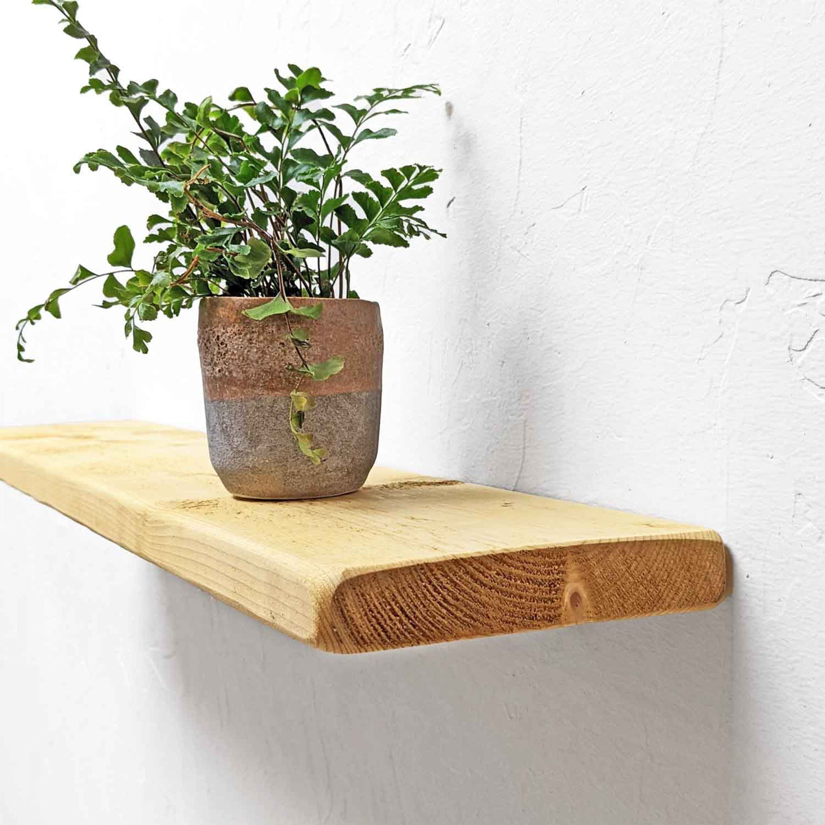 #colour_antique-pine
