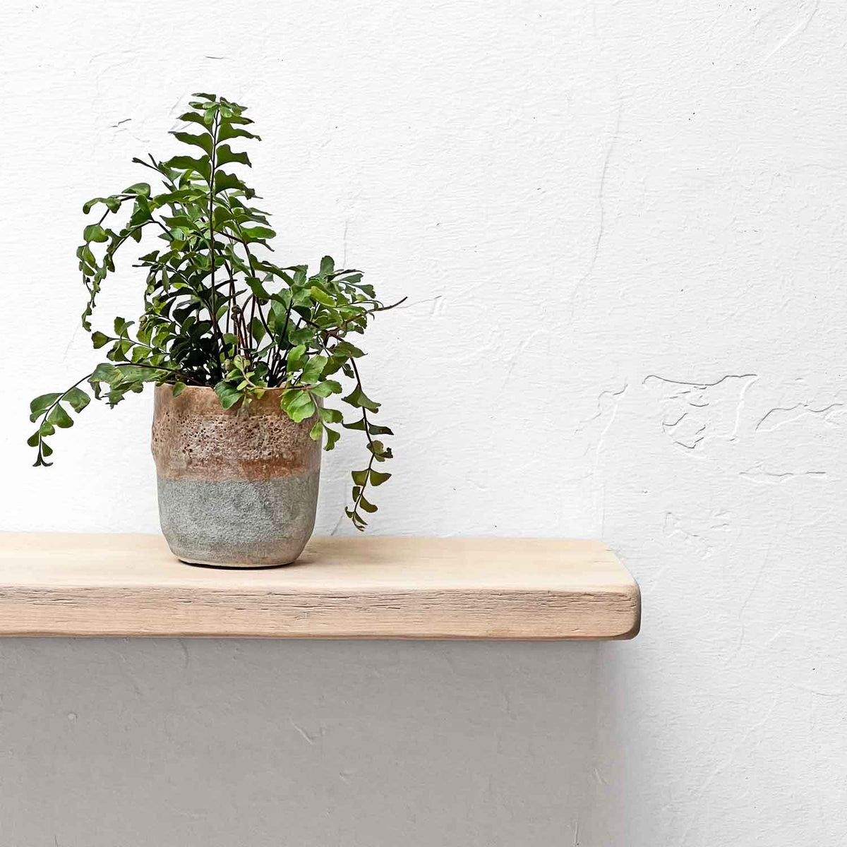 Shabby Chic Floating Shelf | Thin | 15cm Depth