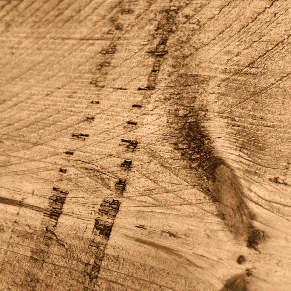 #colour_dark-oak