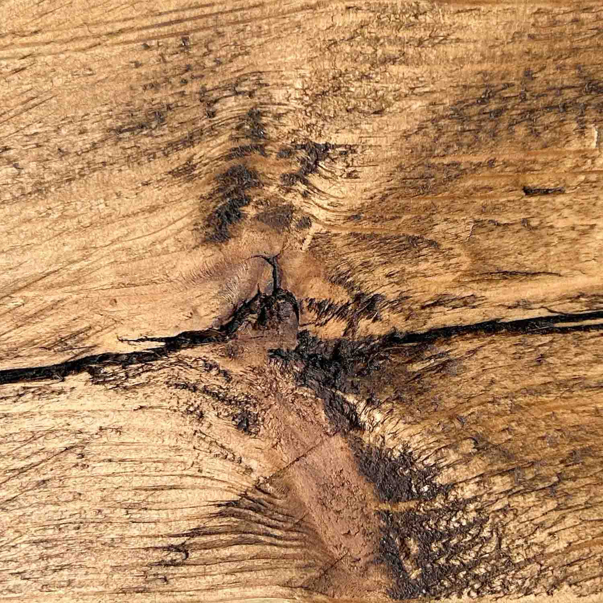 #colour_dark-oak