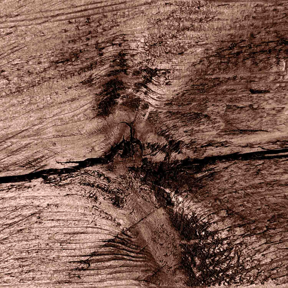 #colour_walnut
